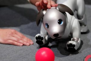 Conheça “Aibo” o cachorro-robô da Sony