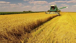 Startups de olho no agronegócio