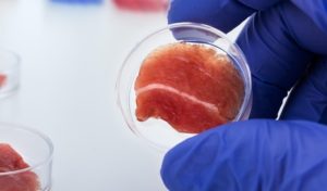 Carne cultivada em laboratório é carne de verdade?