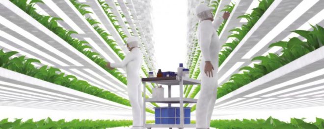 Emirates vai construir a maior fazenda vertical do mundo em Dubai