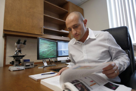 Poderosa fibra emagrecedora garante queima de gordura em tempo recorde