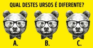 TESTE: Qual destes ursos é diferente?