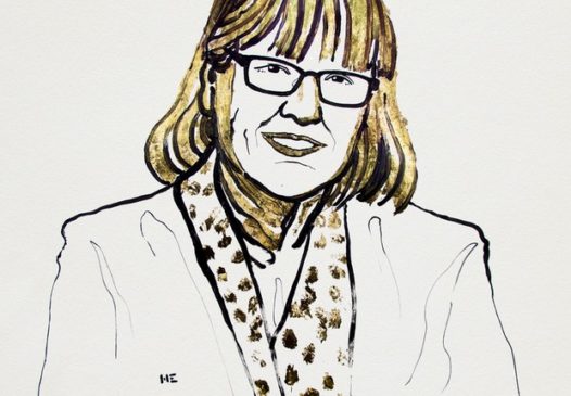 Nobel da Física é entregue a uma mulher pela primeira vez em 55 anos