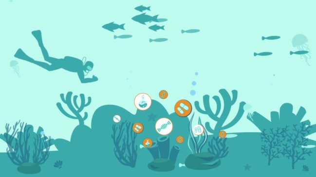 Programa conecta startup à indústria para estimular inovação no Brasil