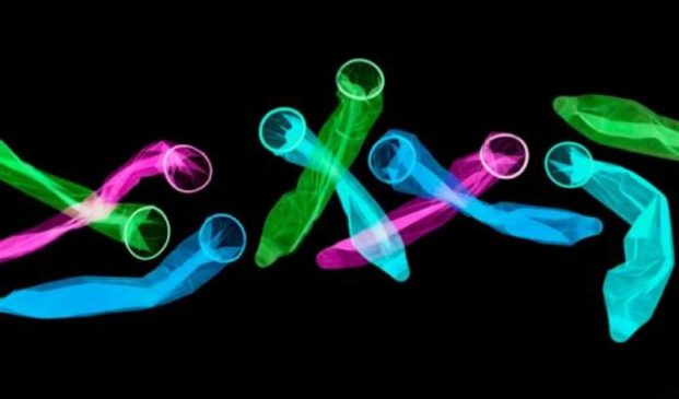 Nova camisinha que se autolubrifica e pode reduzir contágio por doenças sexualmente transmissíveis