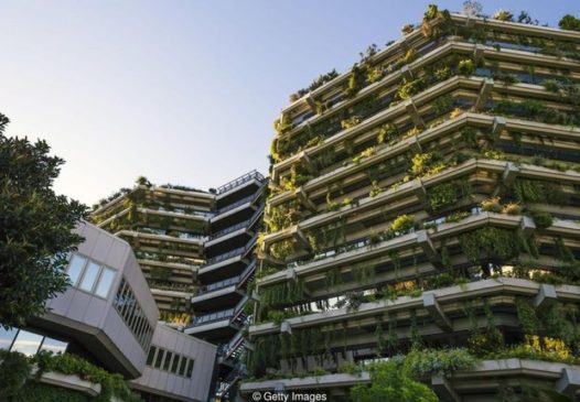 Construção verde: o setor que vai oferecer milhões de empregos