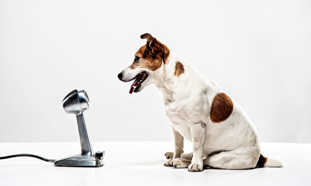 Se seus funcionários não se expressam, culpe a cultura da empresa