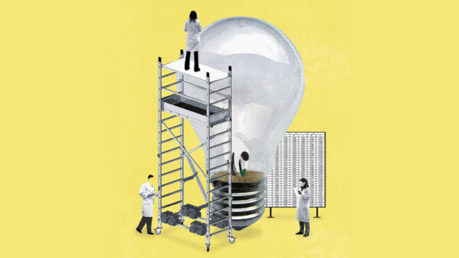 A dura realidade das culturas inovadoras